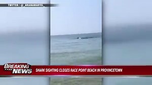 BREAKING: Confirmed shark sighting closes Provincetown beach. | 7News - WHDH Boston