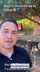Mauro necesita de tu apoyo!🐶💙. Gracias a Dios es Leish negativo.😁. Cada día de tratamiento en la clínica cuesta, suplementos para la piel, comida, medicación baño. Es muy poquito lo que él necesita. Comparte para que la ayuda llegue. 🌟 ¡Tu ayuda puede cambiar vidas! 🌟 💟 Dona desde Paraguay 📌 Transferencias Banco Familiar: Nombre: Carlos Miguel Ruiz Cuenta: 9-5396008 Alias: Cédula 5280218 ❇️Ueno bank Cuenta : 619672742 📌 Giros Tigo y Mango: 0981623777 💟 Dona desde cualquier parte del mun