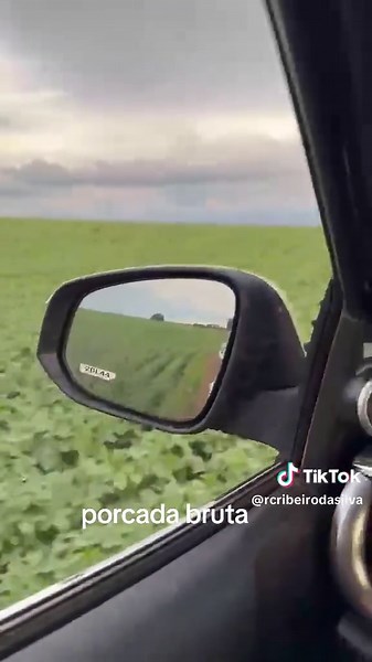 Java no Soja: O Que Você Precisa Saber