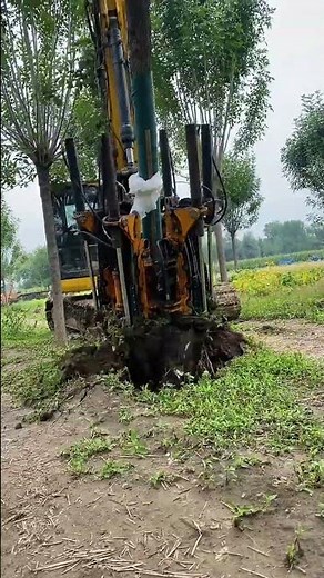 #Nursery landscaping#Tree digger with soil ball#Changqing tree digger#Forestry