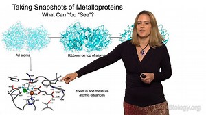 Metalloproteins in Action • iBiology