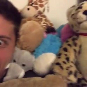 Wanna see my stuffed animal collection? Epic Vine Videos | Epic Vine Videos