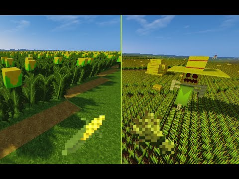 (TUTO) Champs de blé et de maïs en vanilla / La ferme MINECRAFT FR