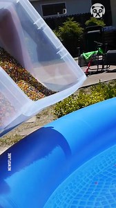 Explosive orbeez pool experiment | Handy Panda