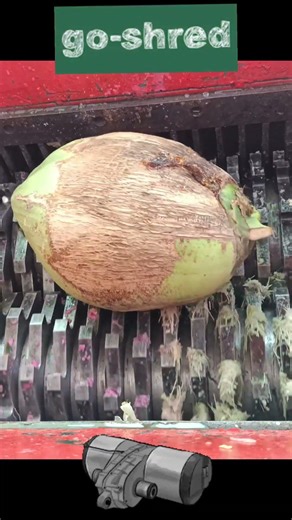 SHREDDing! AMAZING VIDEO!