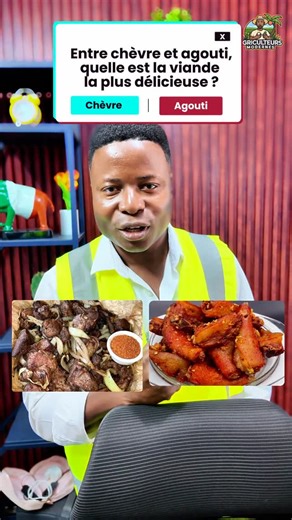 Agriculteurs Modernes on Instagram: "the benefits of grass cutters breeding/ avantages de l’elevage des aulacodes.#Grasscutters #Breeding #avantages #Expeditionaulacodes"