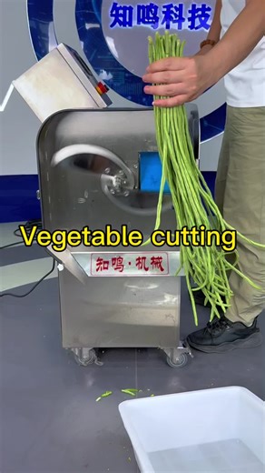 Double-Head Vegetable Cutting Machine Benefits