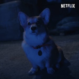 34K views · 424 reactions | Me when I see a dog (like, literally any dog).  Cowboy Bebop is now streaming on Netflix. | Netflix | Facebook