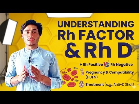 What is Rh Factor? Positive vs Negative Blood Explained