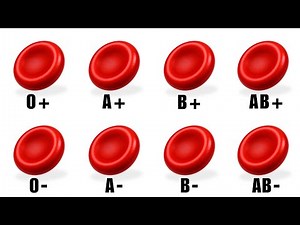 Every Secret Strength Behind Your Blood Type Explained
