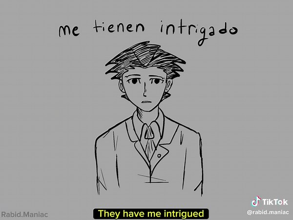Animatic Inspired by Ace Attorney Characters