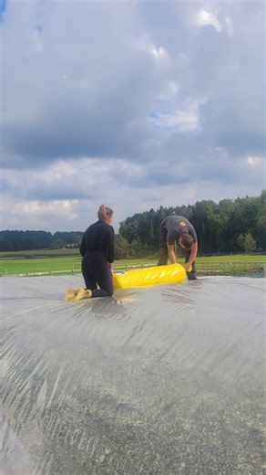 Mais, die 3 🌽: die Meinungen gehen auseinander! MAIS ERNTE BAUERNHOF | Moierhof | Chiemsee Oberbayern