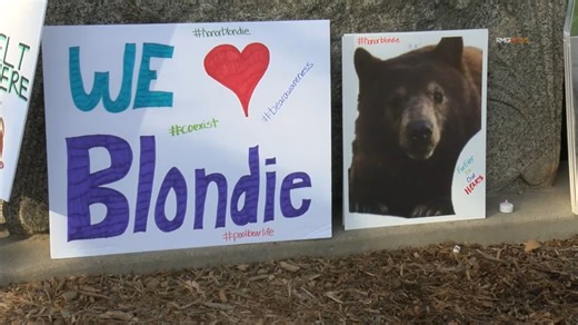 Monrovia residents hold memorial walk for euthanized bear