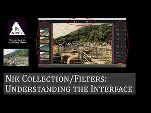 Nik Collection/Filters: Understanding the Interface