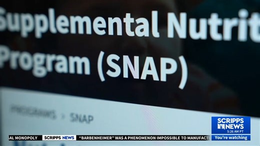 Instacart's SNAP Tool Aids Low-Income Shoppers Nationwide