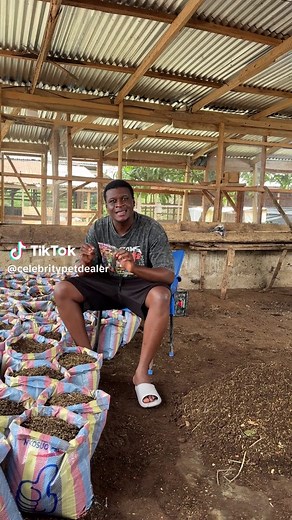 Backyard Ginger Farm: How to Start Ginger Farming at Home (Ghana 2026)