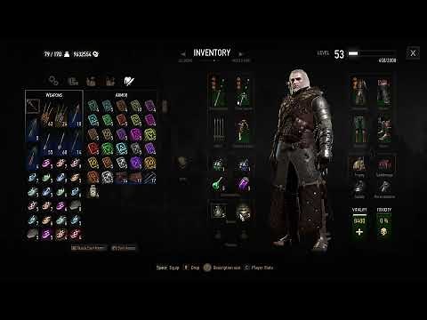 The Witcher 3: Wild Hunt - Old Man Geralt - Ursine Euphoria Build