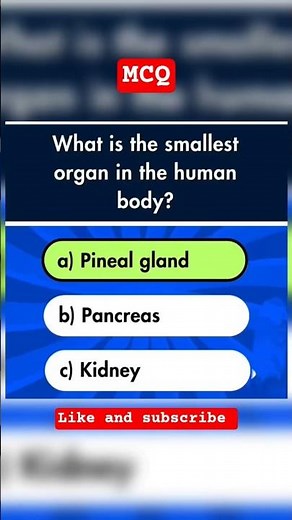 What is the smallest organ in the human body???
