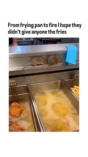 reel fountain on Instagram: "The post features an Al-generated video showing a fast-food worker slipping headfirst into a deep fryer amid kitchen panic, captioned with a pun on "out of the frying pan into the fire" to jest about potential fry contamination. It quickly amassed over 4 million views and 8,000 likes within a day, illustrating the rapid spread of humorous, absurd content on X that blends shock value with everyday fears around food safety. Replies frequently call out the video's artif