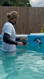 192K views · 6.4K reactions | Jack Russell terrier Ziggy building up her swimming confidence  | Canine Dip and Dive Maldon | Facebook