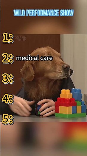 Mikey Day’s wild performance #snl #mikeyday