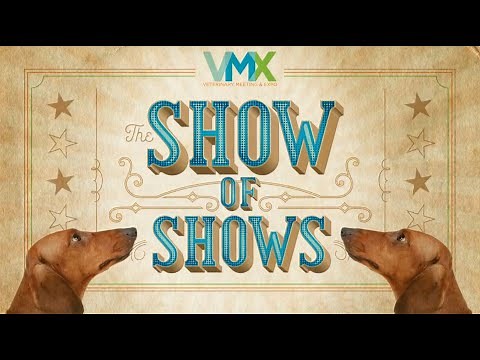 VMX 2024: The Ultimate Guide for First-Time Attendees