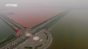 81K views · 2.3K reactions | Footage: Algae color ‘China’s Dead Sea’...