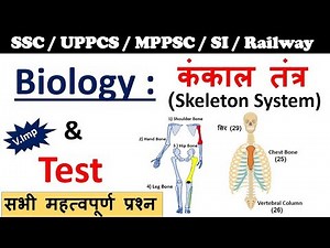 Biology Gk : Skeleton System (कंकाल तंत्र ) | General science For SSC, UPPCS, Police, Railway Exam