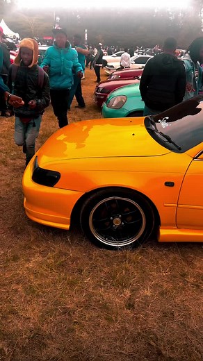 Nissan Skyline GT-R Showcase at Outdoor Car Gathering