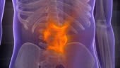 Stomach pain treatment. 3d animated X-ray human body. With and...