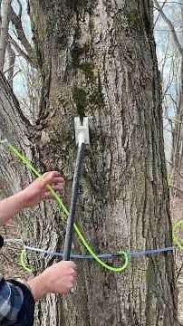 how maple syrup is made 🍁 #ontarioproduce