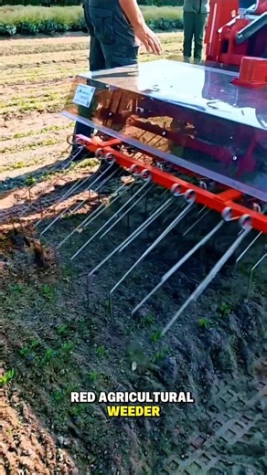 Agricultural Weeder Tool – Cleans Crops Without Chemicals!