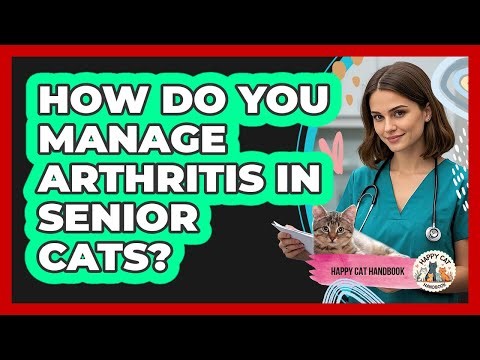 How Do You Manage Arthritis In Senior Cats? - Happy Cat Handbook
