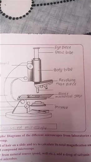1. Study the parts of compound microscope practical #class11biology #maharashtraboard