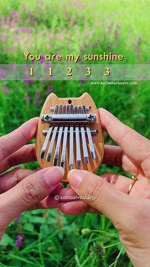 You Are My Sunshine 8 Key Kalimba Tutorial