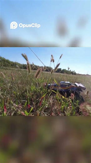 Tamiya Hornet Afternoon Run #tamiya