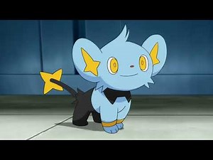 Shinx Voice
