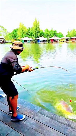 Big fish catch #fishing #rodfishing #bigfishcatch #bigfish #riverfishing #fishingshorts #viralshort