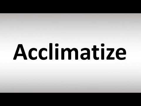 How to Pronounce Acclimatize