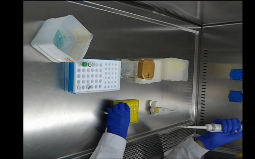 PCR体系配制与PCR仪反应条件设定