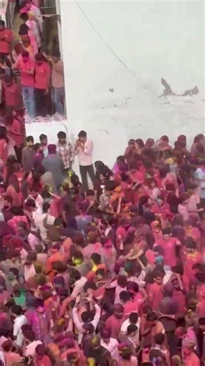 Holi Celebration springboard Academy Jaipur #holi #springboardshort #springboardacademy #sba