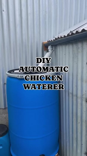 DIY Automatic Chicken Waterer: Constructing a Water Container for Your Chickens