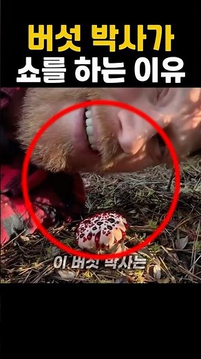 Why Dr. Mushroom Knocks Mushrooms