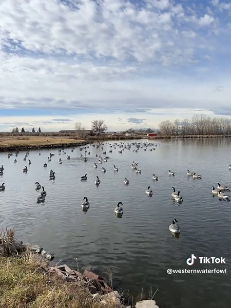 Western Waterfowl Outfitters (@westernwaterfowl)’s videos with original sound - Swedish military edits