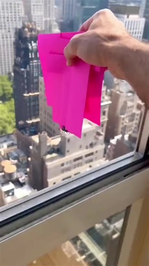 Easy Origami Crane Tutorial for Beginners