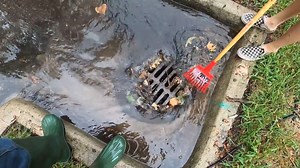 542K views · 3.7K reactions | 4 drains in historical Detroit nieghborhood . . #unclogging #cleaning #waterflow #relaxing #DAMS #drains #plumbing #plumber #drain #draincleaning #dirtyjobs #basement #snake | Cleaning house | Facebook