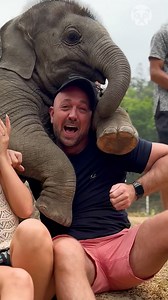 Baby elephant’s photobomb! | Life Bites Gallery