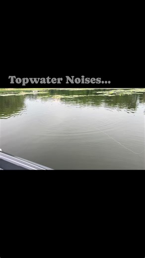 There is something peaceful about a topwater moving across the water…until it gets smashed on! With 40 or 50 lb Smackdown Braid I can make my baits walk with ease and battle a bass out of the grass. Fish Seaguar | Glenn Walker Fishing