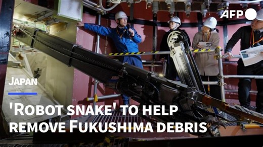 Snake-like robot unveiled for Fukushima debris removal | AFP | Shahriyar Gourgi