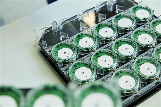 The COSC Introduces the New Excellence Chronometer Certification - Worn & Wound